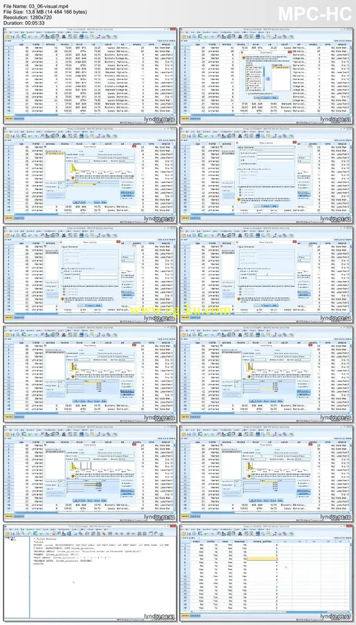 Lynda – SPSS Statistics Essential Training的图片1