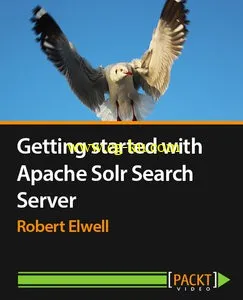 Packtpub – Getting started with Apache Solr Search Server的图片1