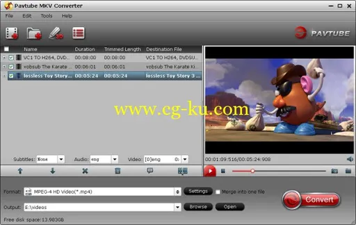 Pavtube MKV Converter 4.8.5.0的图片1