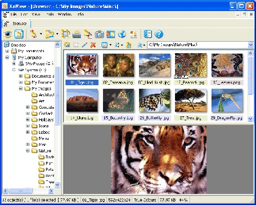 XnView 2.46 Complete Multilingual + Portable的图片1