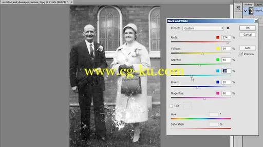 Lynda – Photo Restoration Techniques: Damaged Black-and-White Images的图片1