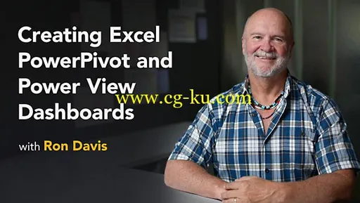 Lynda – Creating Excel Power Pivot and Power View Dashboards的图片2