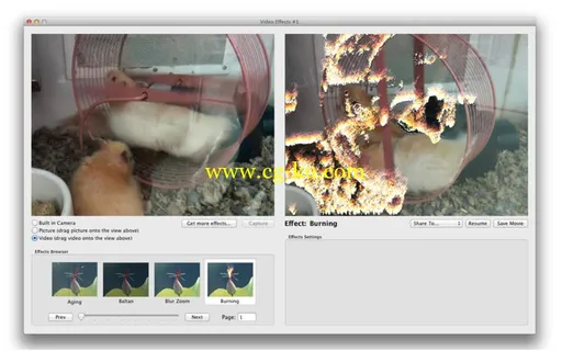 Video Effects #1 v3.0.1 MacOSX的图片2