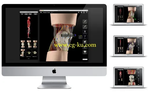 Knee Pro III with Animations v3.8 MacOSX的图片2