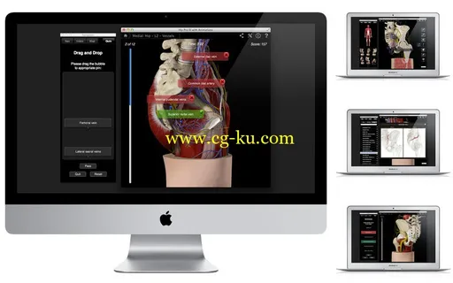 Hip Pro III with Animations v3.8 MacOSX的图片1