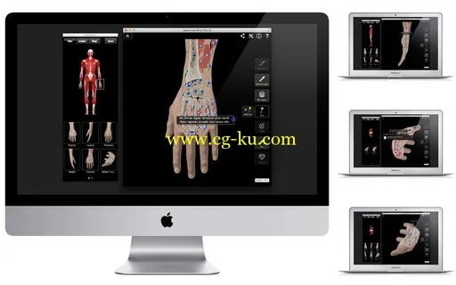 Hand and Wrist Pro III with Animations v3.8 MacOSX的图片1