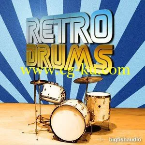 Big Fish Audio Retro Drums MULTiFORMAT的图片1