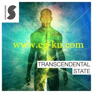 Samplephonics Transcendental State MULTiFORMAT的图片1