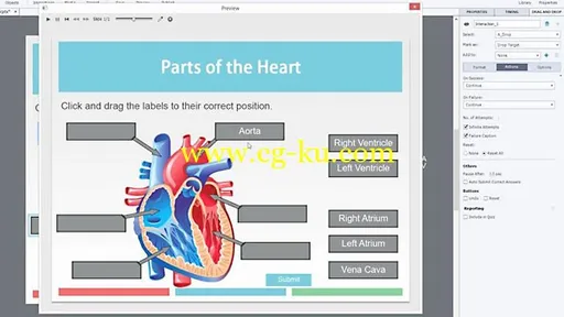 Lynda – Captivate Projects: Drag-and-Drop Interactions的图片2