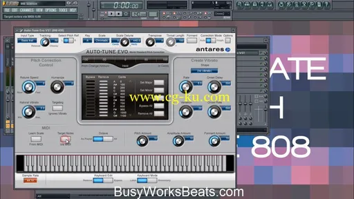 Busy Works Beats – 808 Science Platinum Edition的图片3