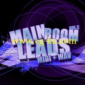 Pulsed Records Main Room Leads Vol.2 (WAV-MiDi)的图片1