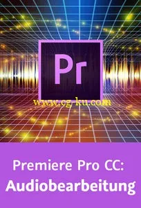 Premiere Pro CC: Audiobearbeitung的图片2