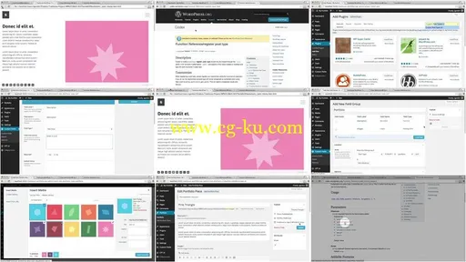 WordPress Development Collection (repost)的图片2