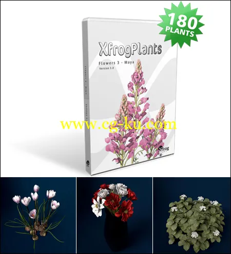 XfrogPlants FLOWERS 3的图片1