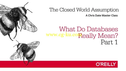 The Closed World Assumption: What Do Databases Really Mean?的图片2