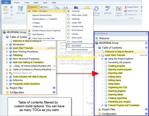 Help & Manual Professional 6.5.2 Build 2990 帮助文件制作工具的图片3