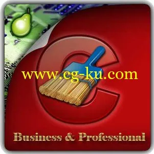 CCleaner Professional / Business  4.17.4808 Multilingual + Portable的图片1