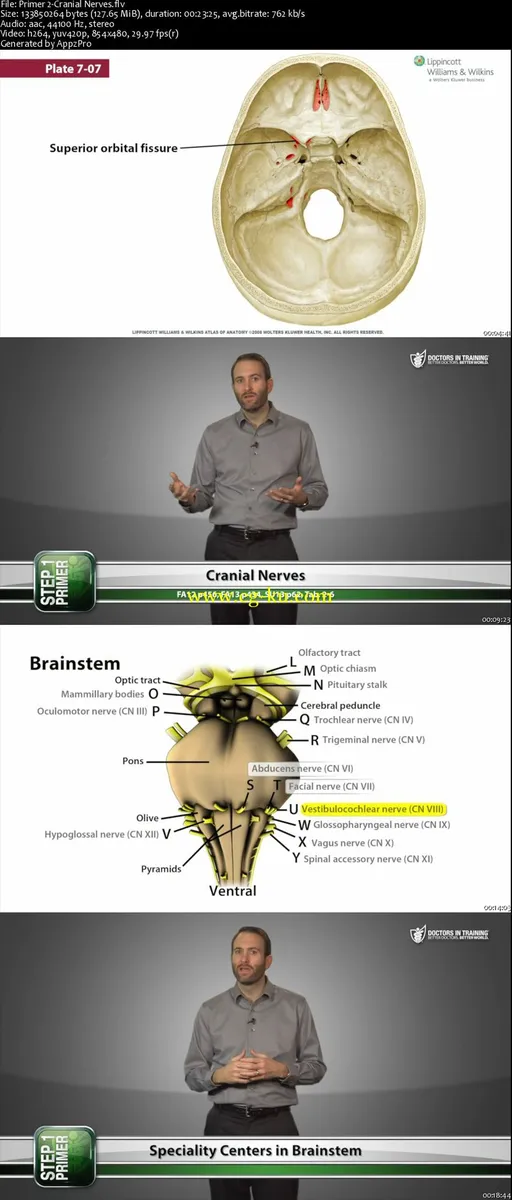 Doctors in Training USMLE Step 1 – (2014)的图片1