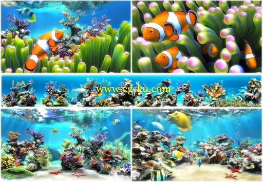 Sim Aquarium 3.8 Build 61 Premium 屏幕保护程序的图片1