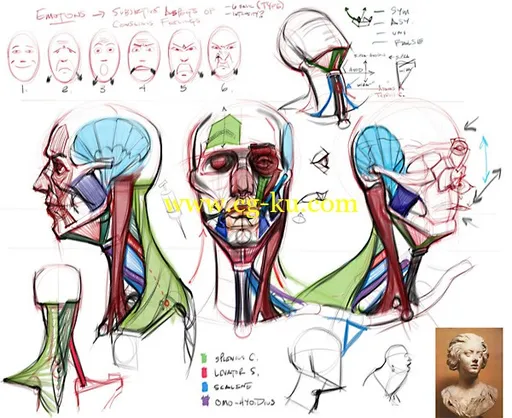 CGMA – Analytical Figure Drawing 2的图片1