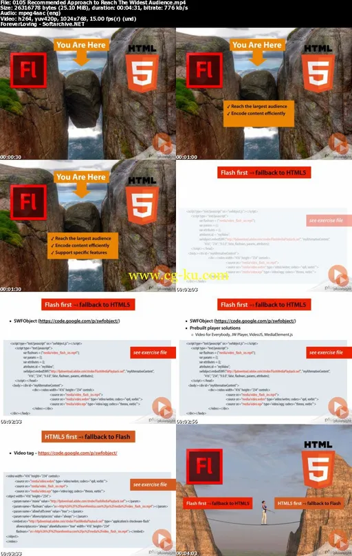 Taking The Leap from Flash to HTML5 Video的图片1