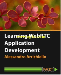 Learning WebRTC Application Development的图片2