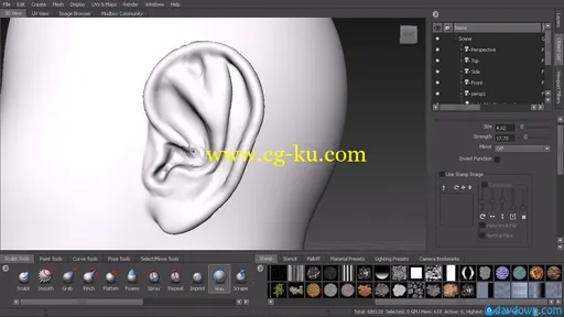 Mudbox 2014 耳朵雕刻教程 Dixxl Tuxxs – Sculpting Human Ears in Mudbox 2014的图片3