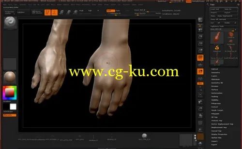 ZBrushworkshops – Fundamentals Of Anatomy Arm And Leg的图片1