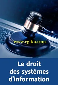 Le droit des systèmes d’information的图片1