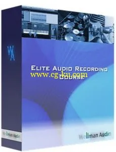 Wellman Audio – Elite Audio Recording Course的图片1