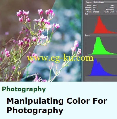 Tuts+ Premium – Manipulating Color For Photography的图片2