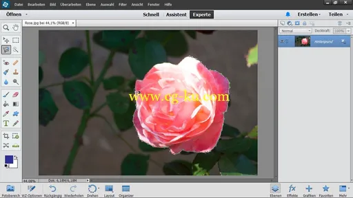 Photoshop Elements 13 Das umfassende Training的图片3