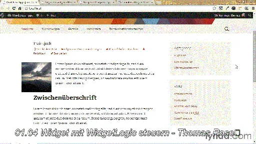 WordPress 4 für Insider Tipps und Tricks für schnelleres Arbeiten und mehr Spaß的图片3