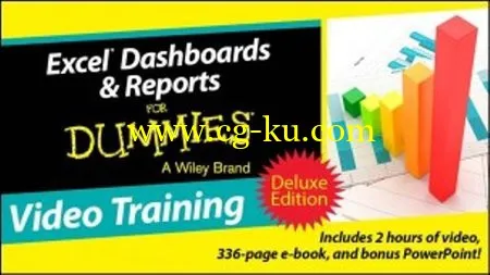 Excel Dashboards And Reports For Dummies的图片1