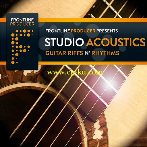 Frontline Producer Studio Acoustics Guitar Riffs n Rhythms MULTiFORMAT的图片1