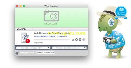 Web Snapper 3.3.7 MacOSX的图片1