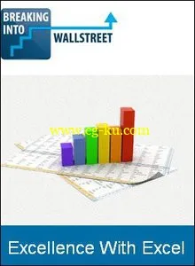 Breaking Into Wall Street – Excellence With Excel的图片1