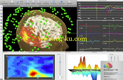 BrainVoyager QX 2.8.4 MacOSX的图片1