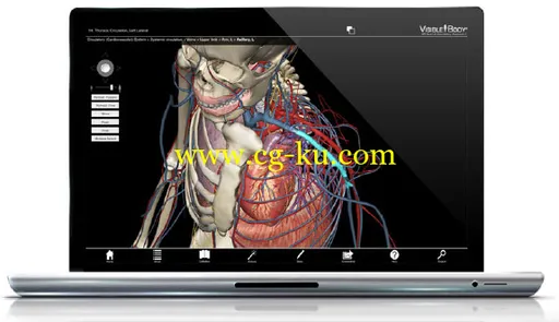 Visible Body Heart and Circulatory Premium v2.0.0 Win/MacOSX 3D心脏和循环系统高级解剖 2的图片2