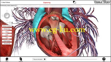 Visible Body Heart and Circulatory Premium v2.0.0 Win/MacOSX 3D心脏和循环系统高级解剖 2的图片3