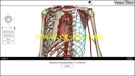 Visible Body Heart and Circulatory Premium v2.0.0 Win/MacOSX 3D心脏和循环系统高级解剖 2的图片4