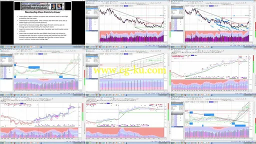 VSA FOREX Trading Mentorship Course的图片2