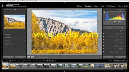 Lynda – Using Lightroom and Photoshop Elements Together的图片2