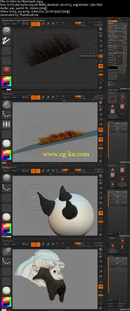 Introduction to Fibremesh in ZBrush Volume 1的图片1