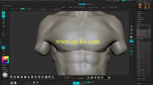 Dixxl Tuxxs – Sculpting Human Torsos in ZBrush 人物躯干雕刻教程的图片2