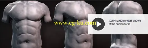 Dixxl Tuxxs – Sculpting Human Torsos in ZBrush 人物躯干雕刻教程的图片3