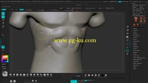 Dixxl Tuxxs – Sculpting Human Torsos in ZBrush 人物躯干雕刻教程的图片4