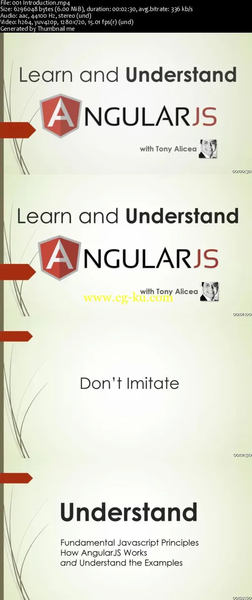 Learn and Understand AngularJS的图片2