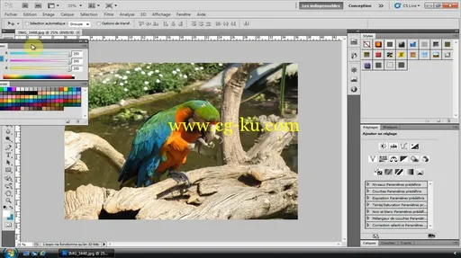 Tuto.com – La couleur – les techniques des pros avec Photoshop CS5的图片3