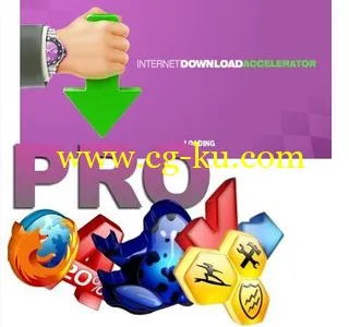 Internet Download Accelerator 6.5.1.1471 + Portable的图片1